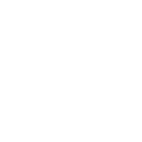 The  Destroyer