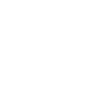 ninja star v2