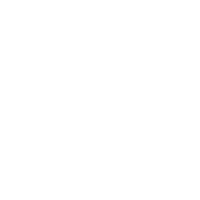 penis