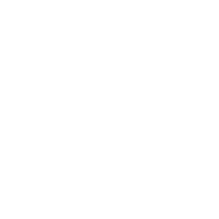 the king of kick ass