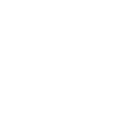 The Phoenix (Hunter Version)