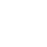Mother ship