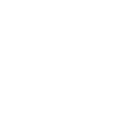 dark bat