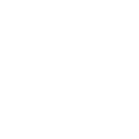 Le Dragon de Feu Destructeur 