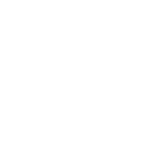 Ferdaus wirerd plane