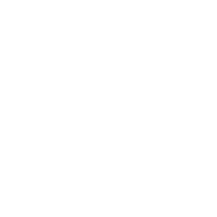 Lightning Bolt