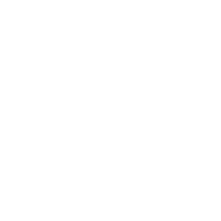 avispon da&Atilde;&plusmn;ino 