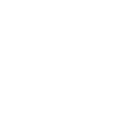 smokey made wildfires