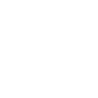 BLACK ass poop flyer