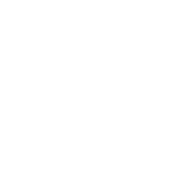 bomber shark 